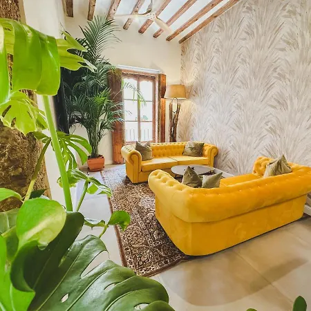 Julio Cesar Apartment *